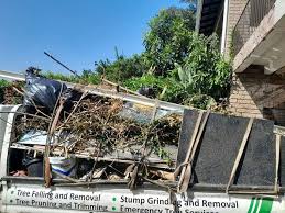 Best Foreclosure Cleanout  in Denton, MD