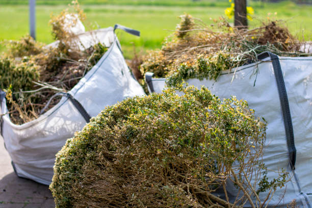 Reliable Denton, MD Junk Removal Services Solutions